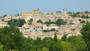 Traitement punaises de lit Montélimar